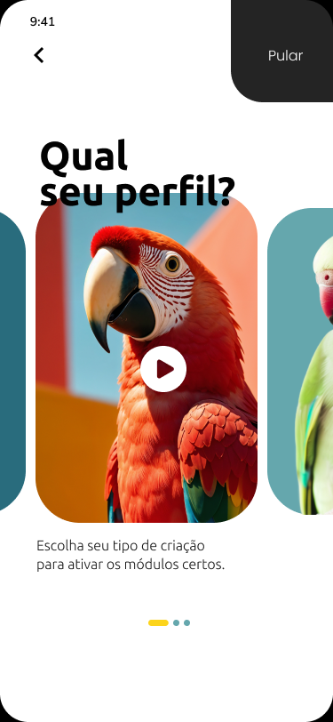 Onboarding · Perfil do criador